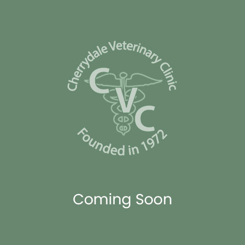 Coming Soon Image