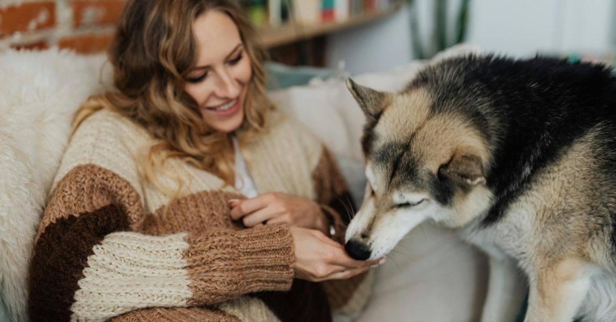woman handing her dog a treat while sitting on the couch