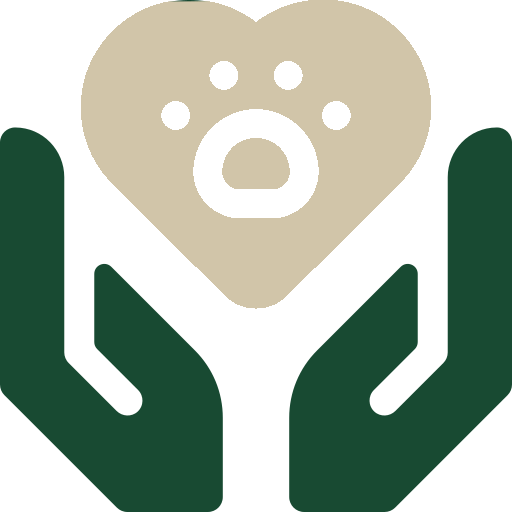 Continuity of Care icon