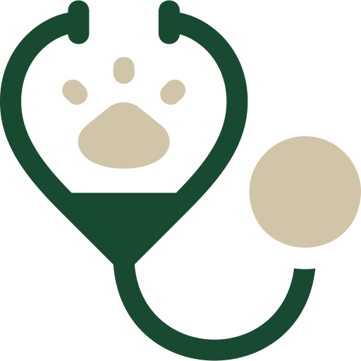 veterinary stethoscope icon